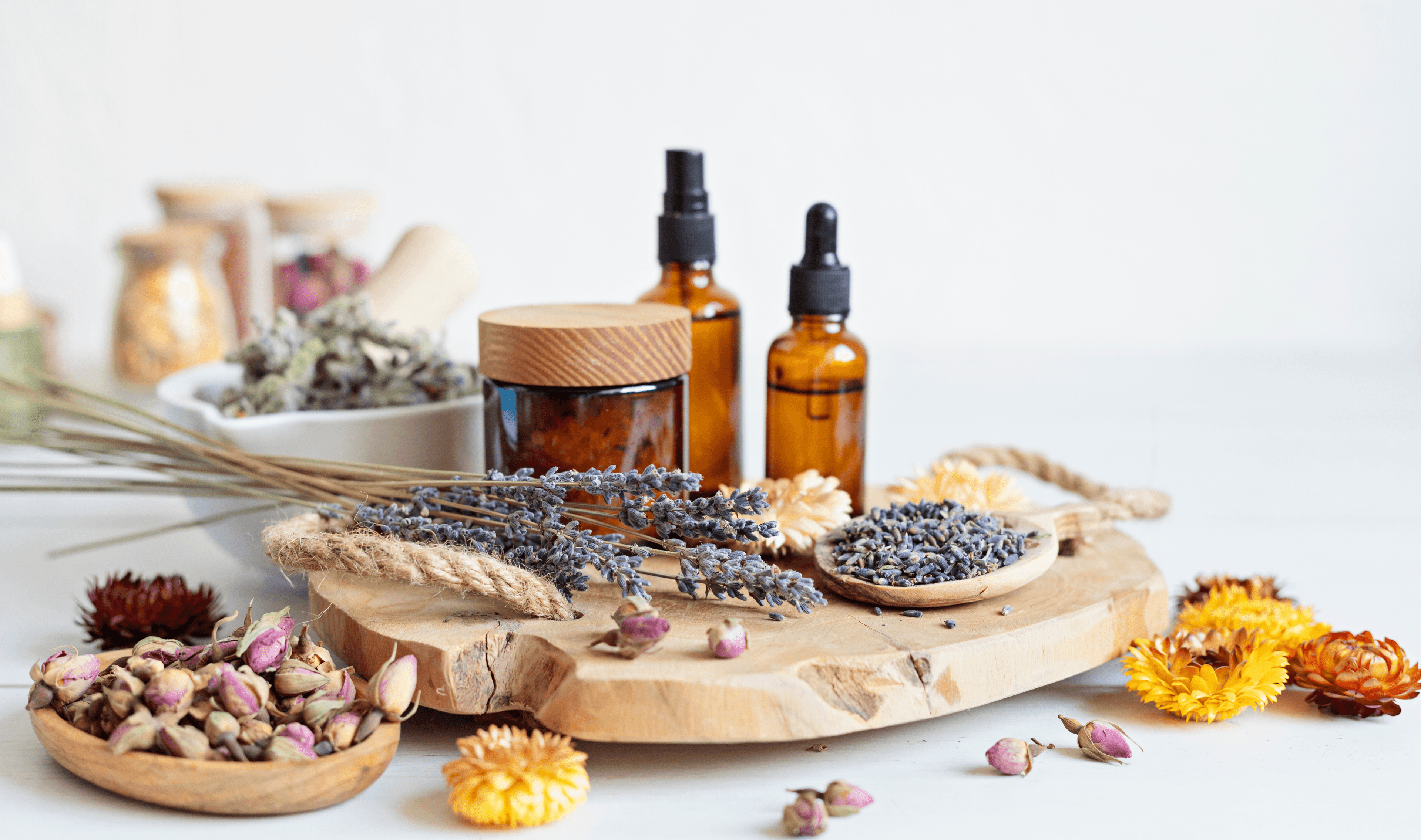 An assortment of herbs, spices, and garlic arranged on a rustic surface, used in holistic practices.