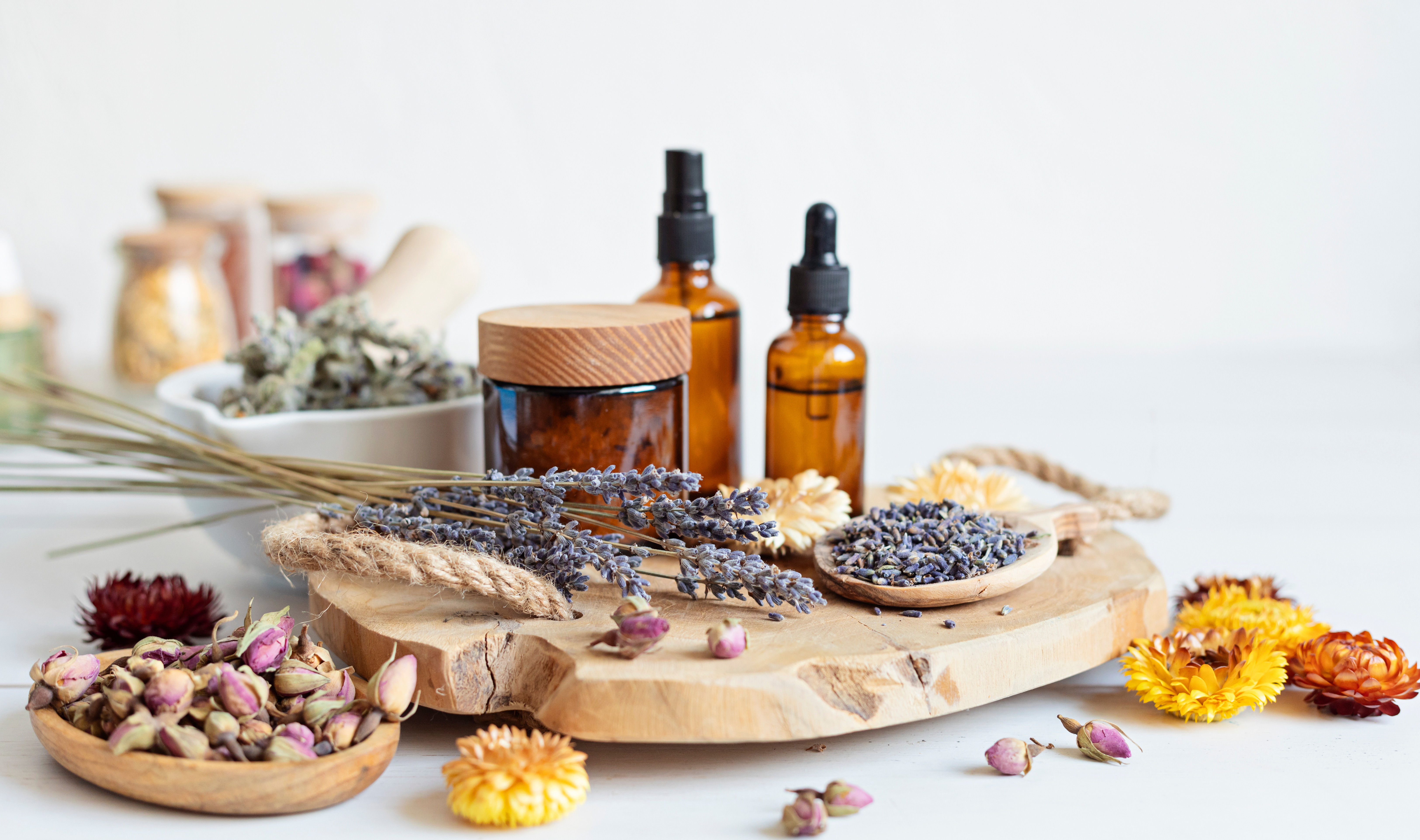 An assortment of herbs, spices, and garlic arranged on a rustic surface, used in holistic practices.