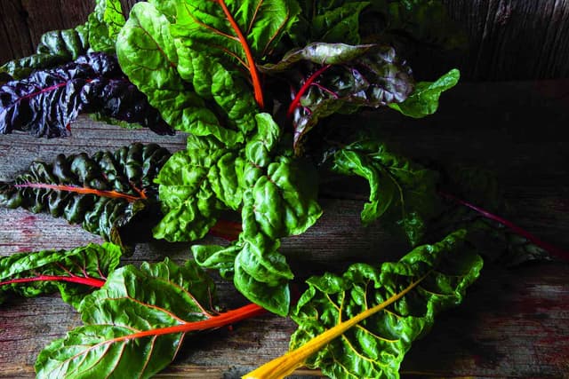 Close-up photo of wet Swiss chard leaves with purple stems and water droplets on dark green foliage.
