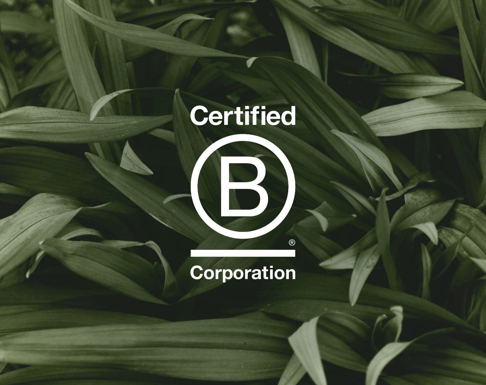 Certified B Corporation