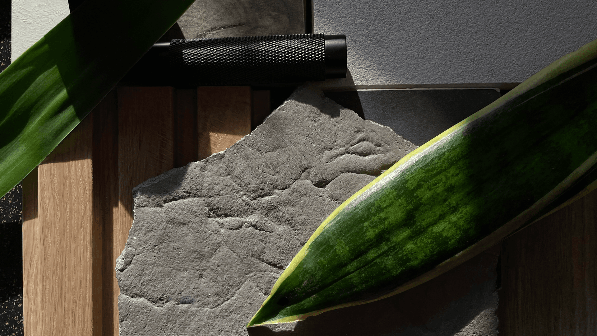 Still life photograph showing a textured stone surface, green plant leaves, wood paneling, and a black metal object in shadow.