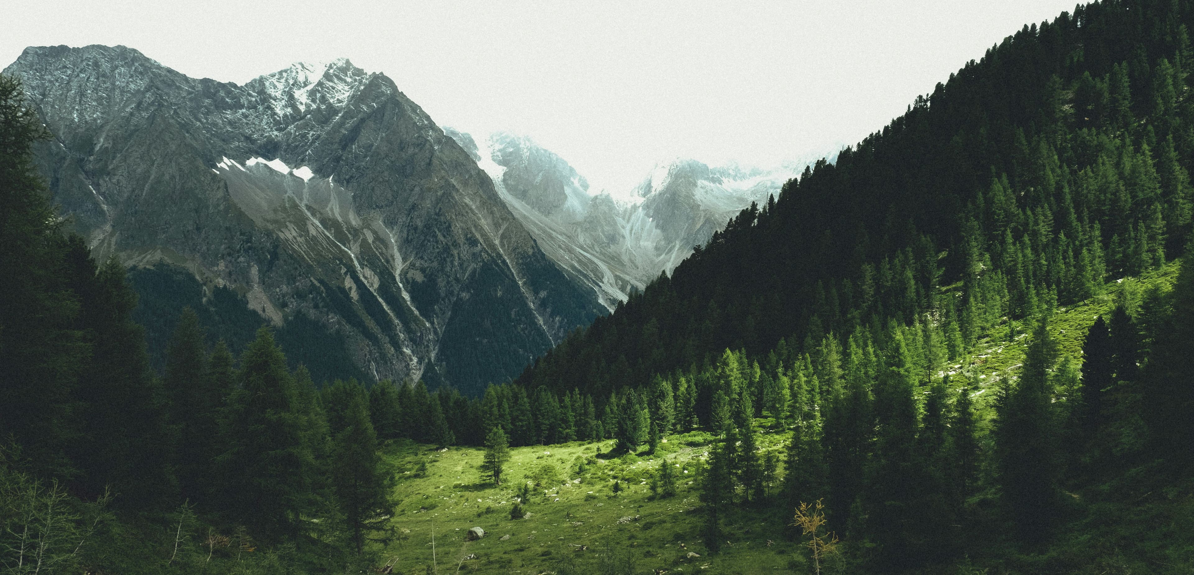 Photo of mountain landscape in the background with green trees and grass in the foreground