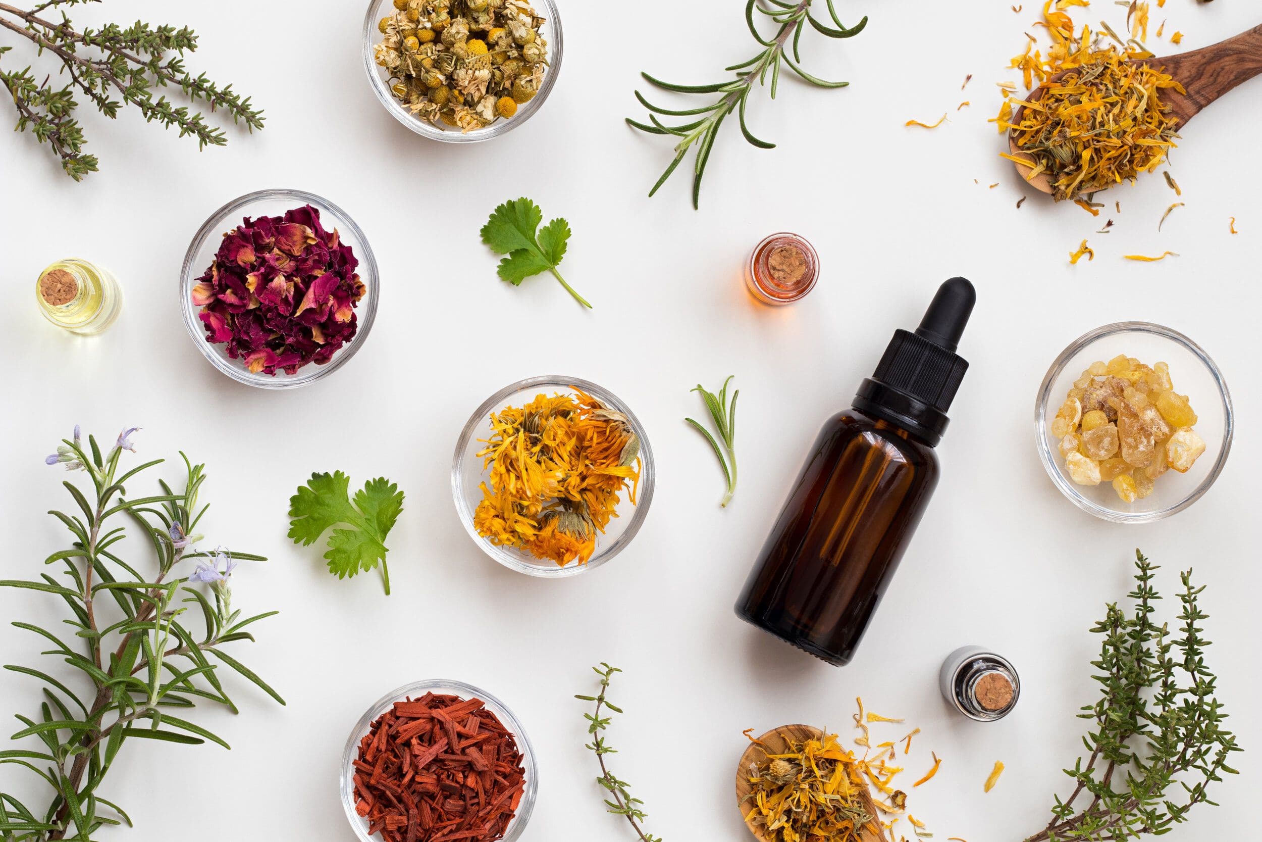 An arrangement of herbs, flowers, essential oils, and a dropper bottle on a white background, representing natural remedies.